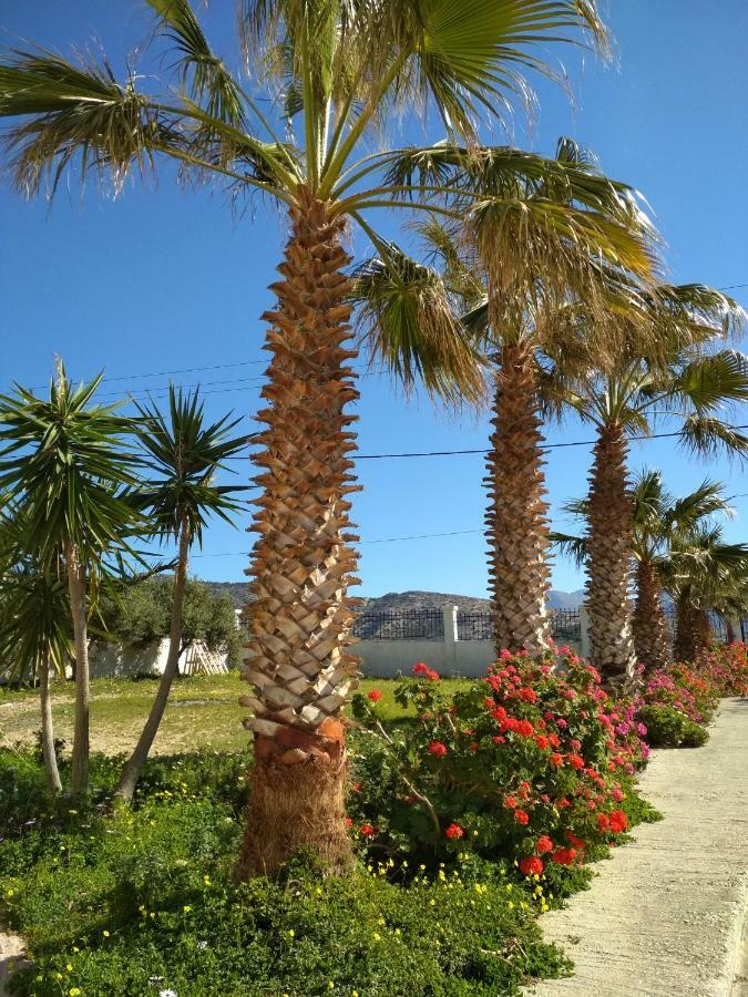 Villa Doxa Ierapetra  Ngoại thất bức ảnh