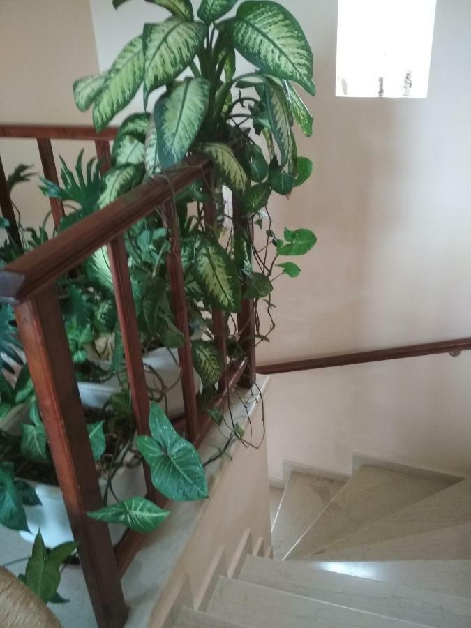 Villa Doxa Ierapetra  Ngoại thất bức ảnh